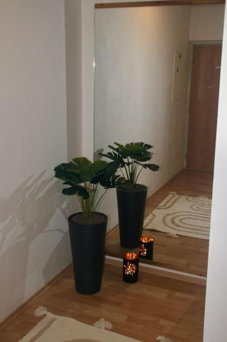 Jasmine Apartment - Free Parking - City Center - Skibus - Tatralandia 5Km Liptovsky Mikulas Exterior foto